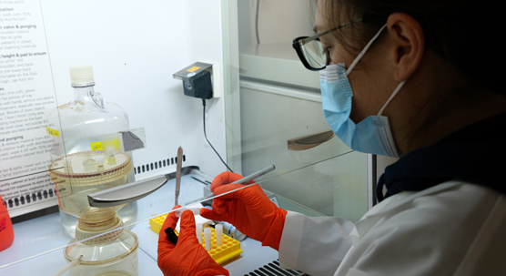 Posdostoral Researcher, molecular biologist Jacqueline Jerney working at the laboratory onboard research vessel Aranda. 